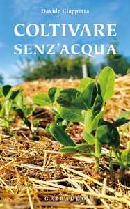 Coltivare senz'acqua