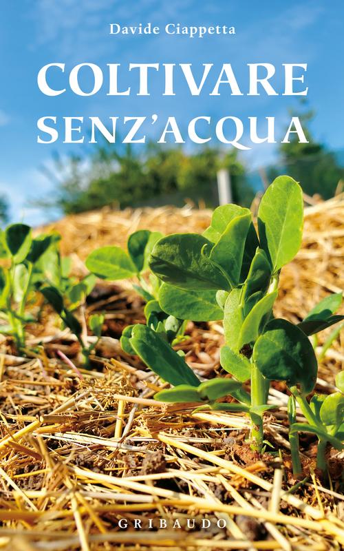 Coltivare senz'acqua