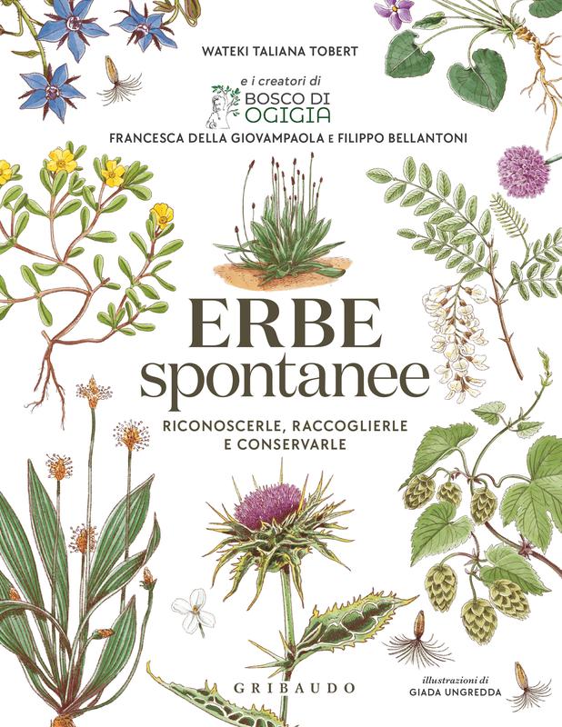 Erbe Spontanee