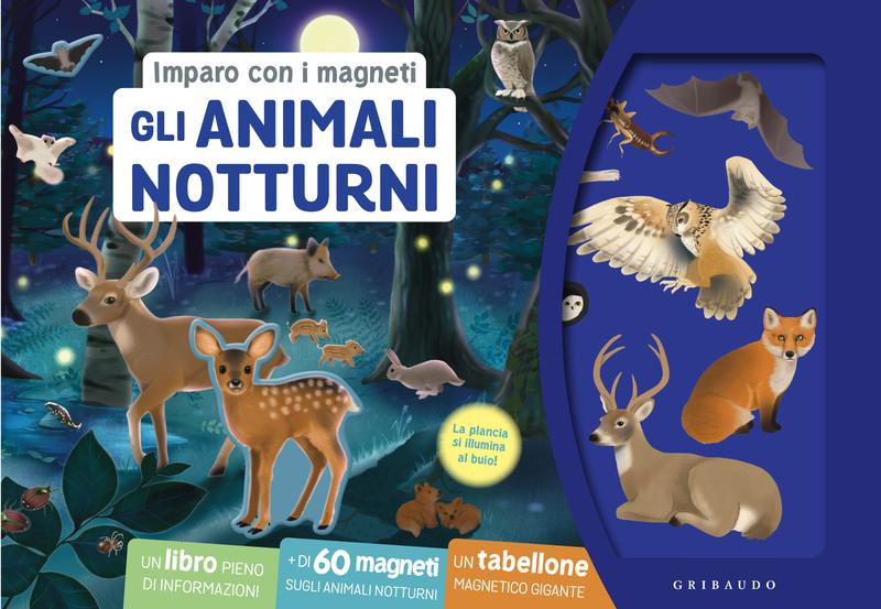 Imparo con i magneti – Gli animali notturni