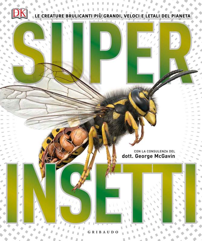 DK Superinsetti