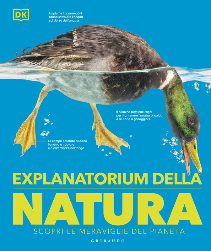 Explanatorium della natura NE