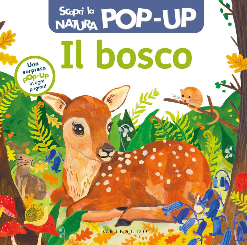 DK Scopri la natura POP-UP - Il bosco
