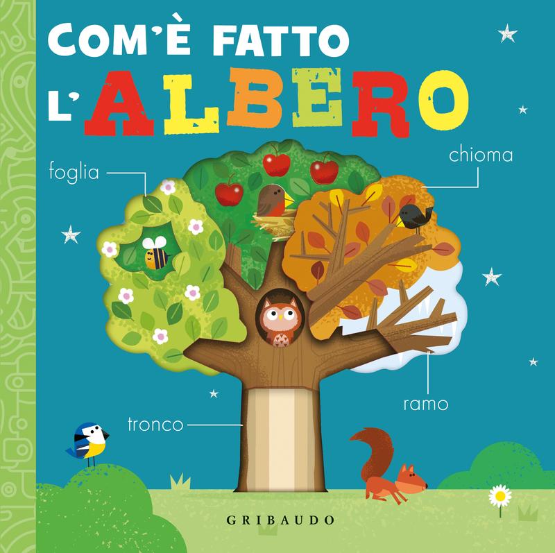 Com'è fatto l’albero