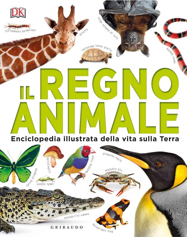 DK Il regno animale. Enciclopedia illustrata della vita sulla terra