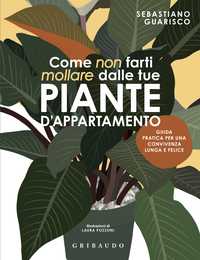 Come non farti mollare dalle tue piante d'appartamento