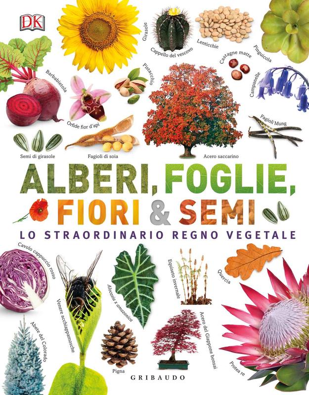 DK Alberi, foglie, fiori & semi. Lo straordinario regno vegetale