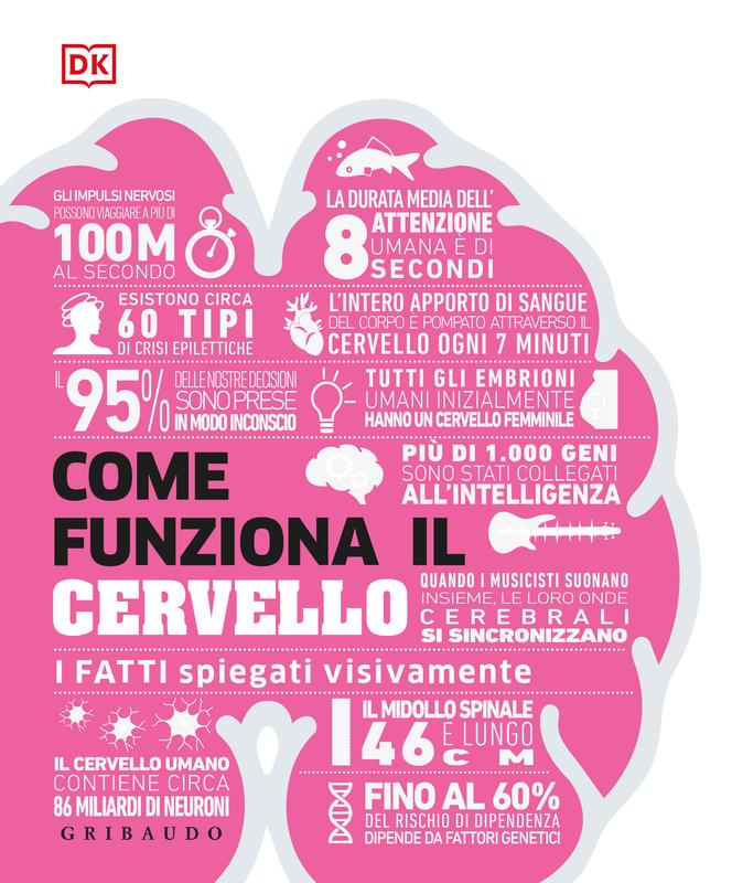 Come funziona il cervello