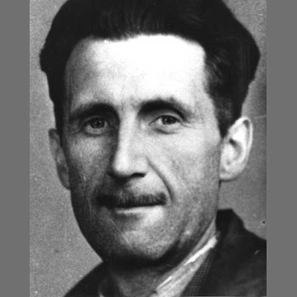 George Orwell Gribaudo