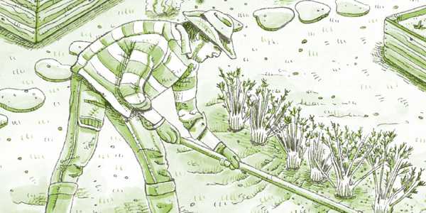 Come fare un orto ben pianificato