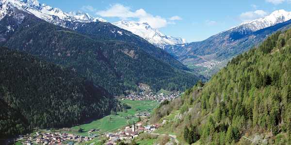 È arrivata la primavera: la spesa nei prati secondo Davide Zambelli