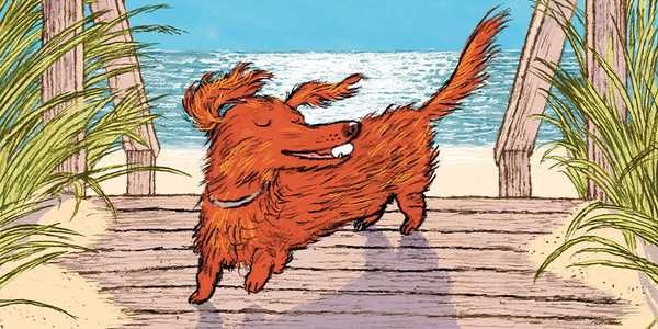 Doug Salati: dall’ispirazione al racconto illustrato di Hot Dog