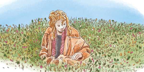 Erbe spontanee di primavera: 5 piante da riconoscere e raccogliere