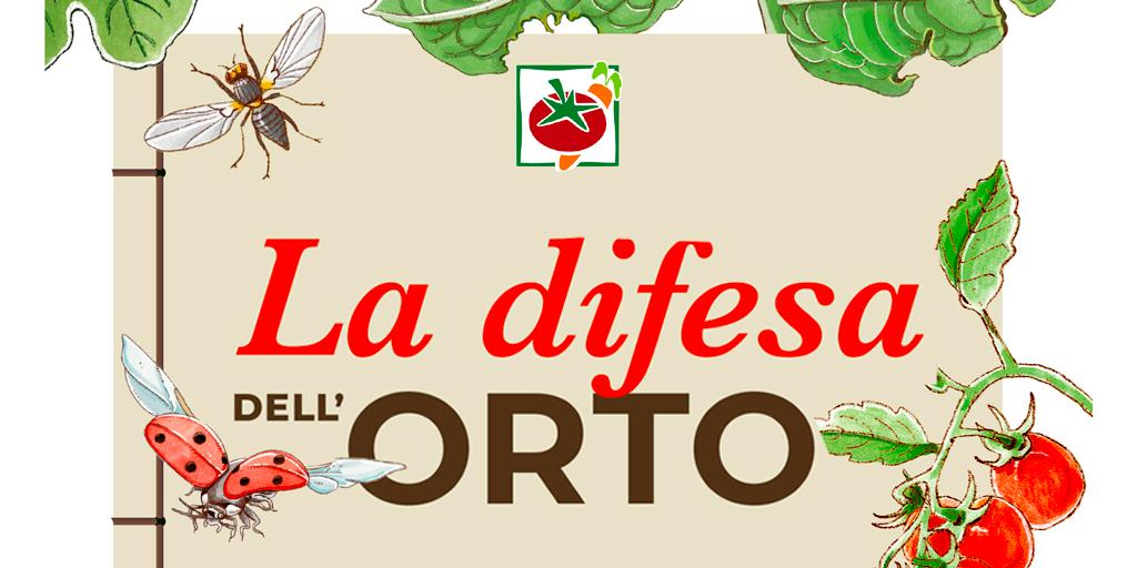 Coltivare un orto sano, in armonia con la natura