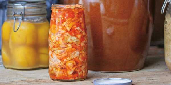 Martino Beria: sfatando i pregiudizi sugli alimenti fermentati