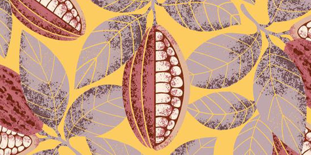 Un libro che svela il cibo degli dei, tra scoperte, leggende, evoluzioni sociali e culturali.